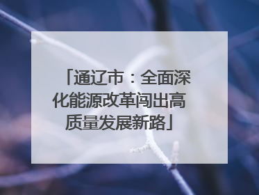 通辽市：全面深化能源改革闯出高质量发展新路