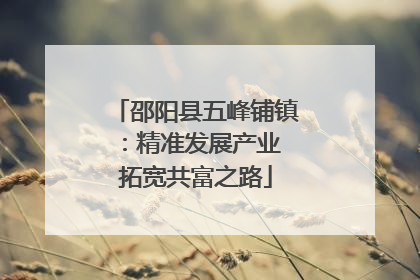 邵阳县五峰铺镇：精准发展产业 拓宽共富之路