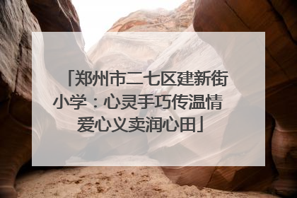郑州市二七区建新街小学：心灵手巧传温情 爱心义卖润心田