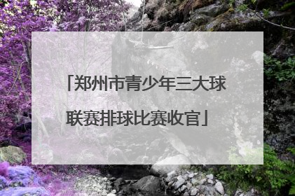 郑州市青少年三大球联赛排球比赛收官