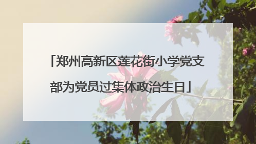 郑州高新区莲花街小学党支部为党员过集体政治生日