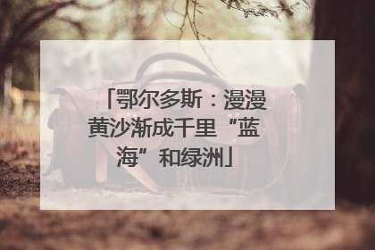 鄂尔多斯：漫漫黄沙渐成千里“蓝海”和绿洲