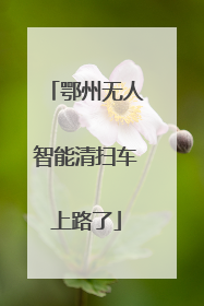 鄂州无人智能清扫车上路了