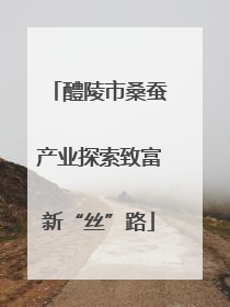 醴陵市桑蚕产业探索致富新“丝”路