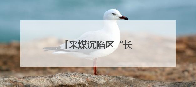 采煤沉陷区“长”出光伏矩阵