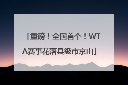 重磅！全国首个！WTA赛事花落县级市京山