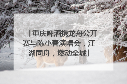 重庆啤酒携龙舟公开赛与陈小春演唱会，江湖同舟，燃动全城