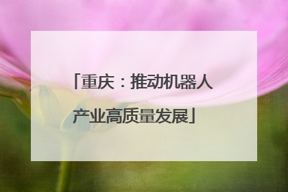 重庆：推动机器人产业高质量发展