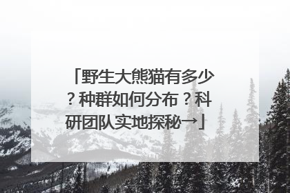 野生大熊猫有多少？种群如何分布？科研团队实地探秘→