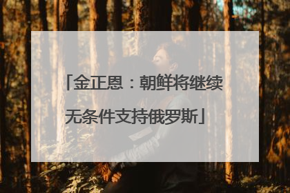 金正恩：朝鲜将继续无条件支持俄罗斯
