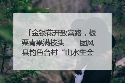 金银花开致富路，板栗青果满枝头——团风县钓鱼台村“山水生金”谱写共富新篇章