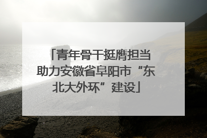 青年骨干挺膺担当 助力安徽省阜阳市“东北大外环”建设