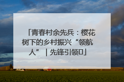 青春村余先兵：樱花树下的乡村振兴“领航人”｜先锋引领⑪