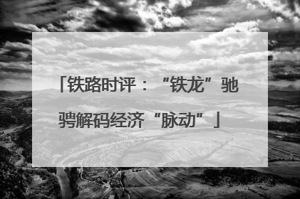铁路时评：“铁龙”驰骋解码经济“脉动”