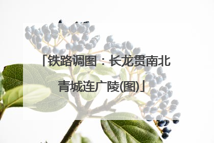 铁路调图：长龙贯南北 青城连广陵(图)