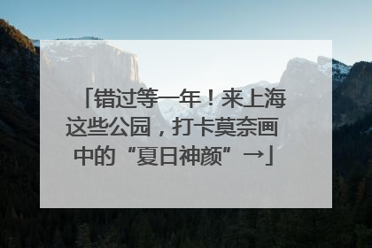 错过等一年！来上海这些公园，打卡莫奈画中的“夏日神颜”→