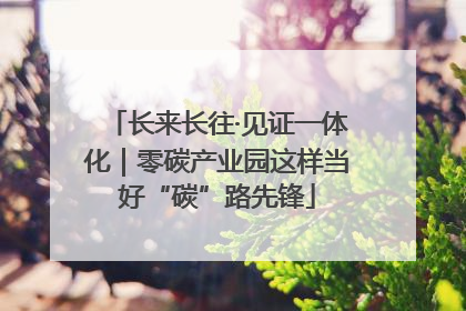 长来长往·见证一体化｜零碳产业园这样当好“碳”路先锋