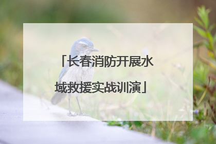长春消防开展水域救援实战训演