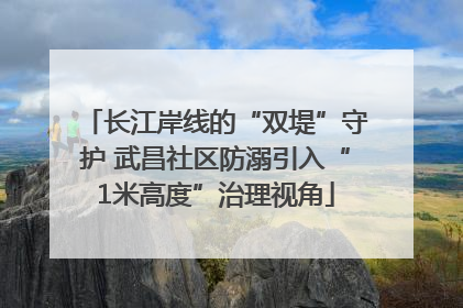 长江岸线的“双堤”守护 武昌社区防溺引入“1米高度”治理视角