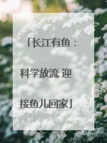 长江有鱼：科学放流 迎接鱼儿回家