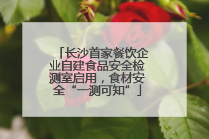 长沙首家餐饮企业自建食品安全检测室启用，食材安全“一测可知”