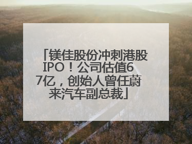 镁佳股份冲刺港股IPO！公司估值67亿，创始人曾任蔚来汽车副总裁