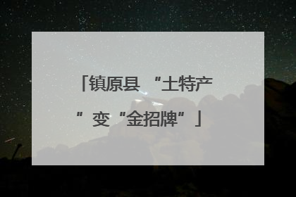 镇原县 “土特产”变“金招牌”