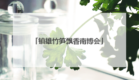 镇雄竹笋飘香南博会