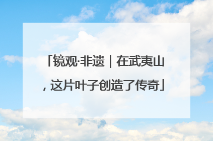 镜观·非遗｜在武夷山，这片叶子创造了传奇