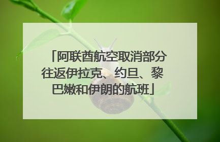 阿联酋航空取消部分往返伊拉克、约旦、黎巴嫩和伊朗的航班