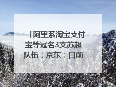 阿里系淘宝支付宝等冠名3支苏超队伍；京东：目前京东币链科技并没有开始发行稳定币｜早资道