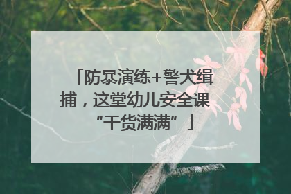 防暴演练+警犬缉捕，这堂幼儿安全课“干货满满”