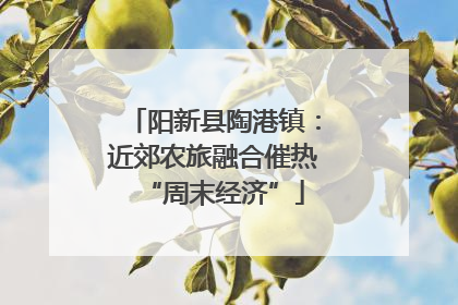 阳新县陶港镇：近郊农旅融合催热“周末经济”