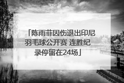 陈雨菲因伤退出印尼羽毛球公开赛 连胜纪录停留在24场