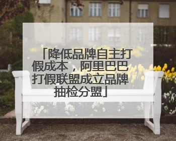 降低品牌自主打假成本，阿里巴巴打假联盟成立品牌抽检分盟