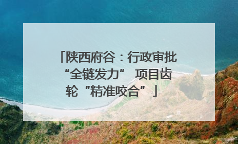 陕西府谷：行政审批“全链发力” 项目齿轮“精准咬合”