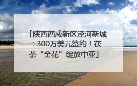 陕西西咸新区泾河新城：300万美元签约！茯茶“金花”绽放中亚
