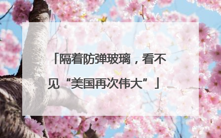 隔着防弹玻璃，看不见“美国再次伟大”
