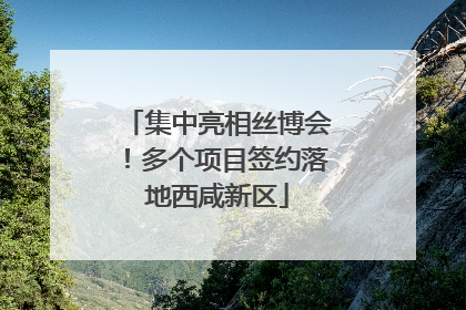 集中亮相丝博会！多个项目签约落地西咸新区