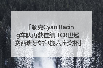 领克Cyan Racing车队再获佳绩 TCR世巡赛西班牙站包揽六座奖杯