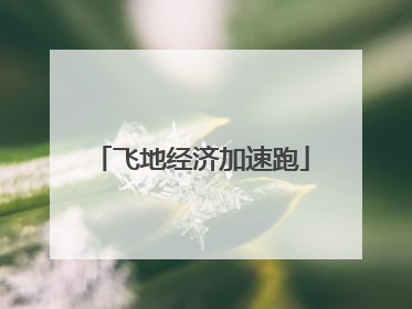 飞地经济加速跑