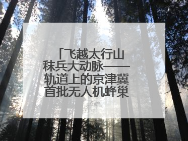 飞越太行山 秣兵大动脉——轨道上的京津冀首批无人机蜂巢投入汛期实战