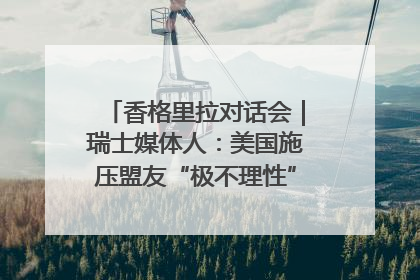 香格里拉对话会｜瑞士媒体人：美国施压盟友“极不理性” 欧洲国家无意与中国“脱钩断链”