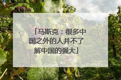 马斯克：很多中国之外的人并不了解中国的强大