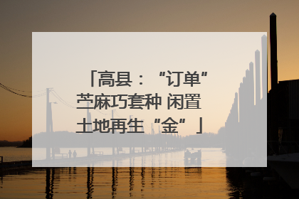 高县：“订单”苎麻巧套种 闲置土地再生“金”