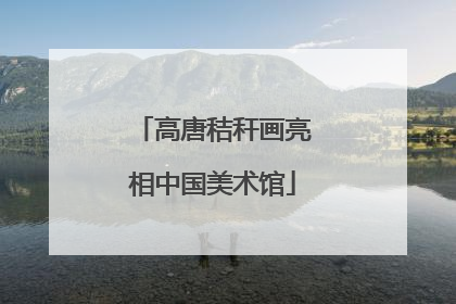高唐秸秆画亮相中国美术馆