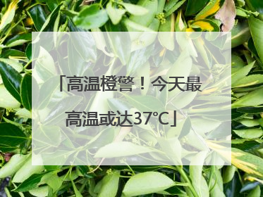 高温橙警！今天最高温或达37℃