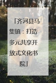 齐河县马集镇：打造多元共享开放式文化书院