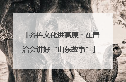 齐鲁文化进高原：在青洽会讲好“山东故事”