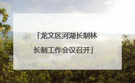 龙文区河湖长制林长制工作会议召开
